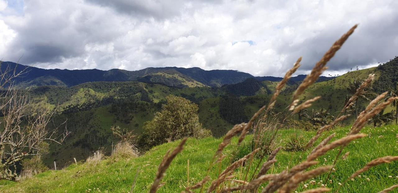 Posada Martha Tolima Salento Dış mekan fotoğraf