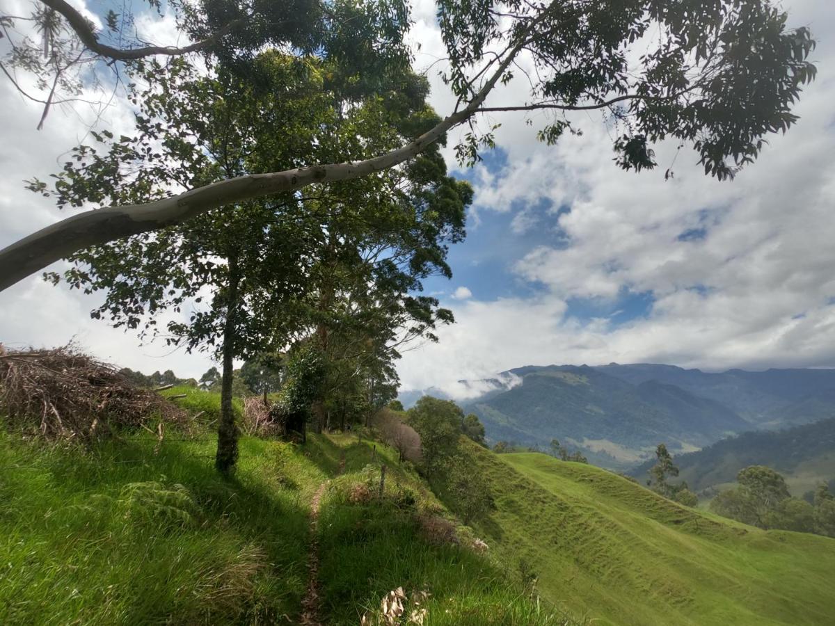 Posada Martha Tolima Salento Dış mekan fotoğraf